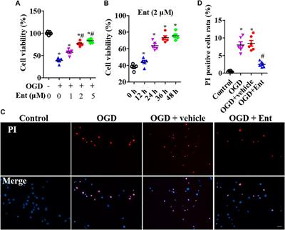 Entinostat Improves Motor Function and Neuronal Damage Via Downregulating NLRP3 Inflammasome Activation After Spinal Cord Injury